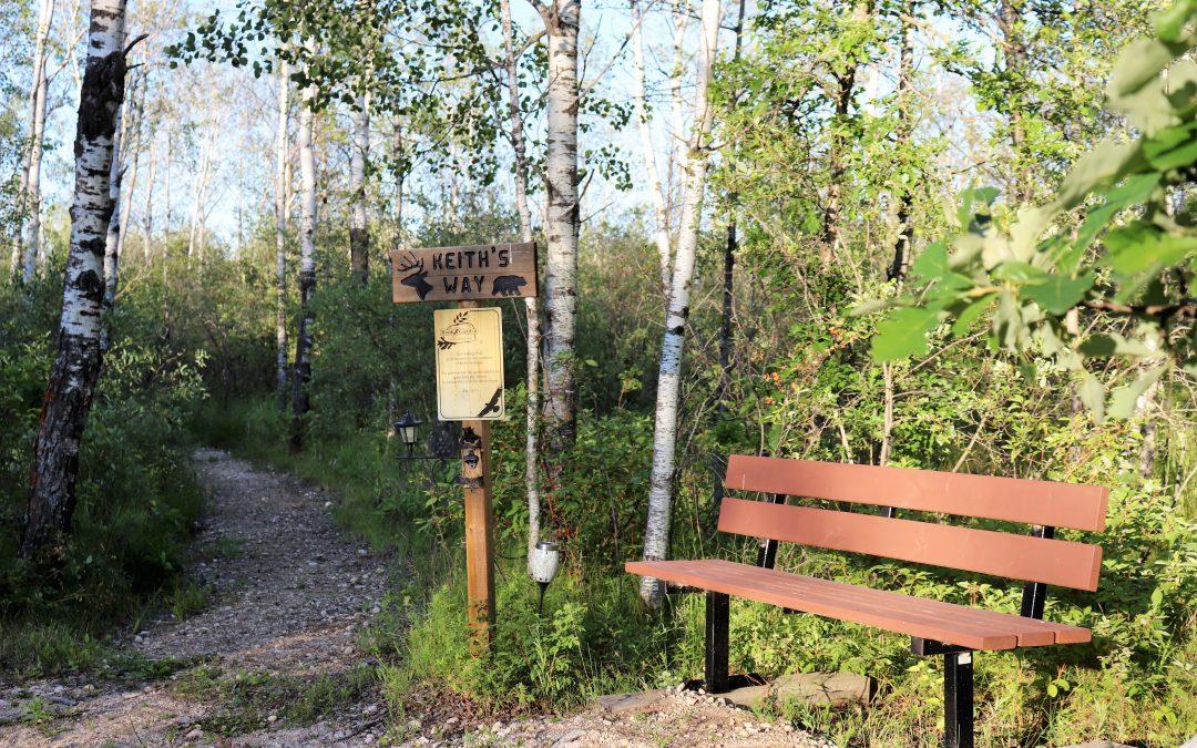 gallery – rockgarden_p20