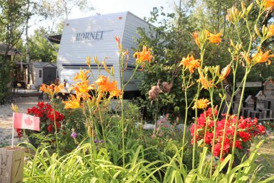 Seasonal Sites